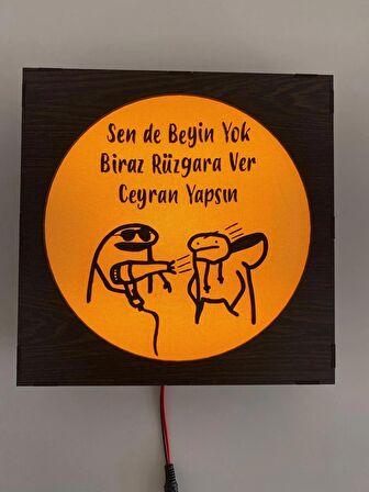 Sen de Beyin Yok - Işıklı Dekor