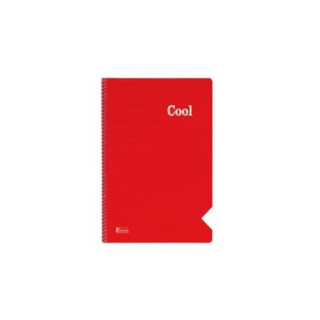 Keskin A4 100 Yp. Kareli Pp Kp.Dikişli Cool Defter