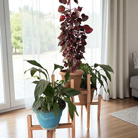 MoxoCreative Üçlü Ahşap Saksı Standı Çiçek Saksı Altlığı 3 Adet Raf Çiçeklik Stand
