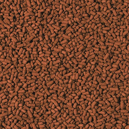 Tropical Shrımp Stıcks 500 Gram Açık Karides Yemi