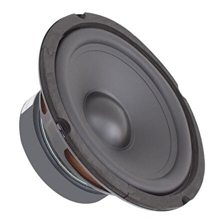 Westsound 16 Cm Ws-Hp 6.5 16 Ohm 180 Watt Yedek Hoparlör