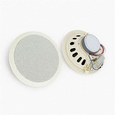 Dexun D-20T 100 Volt 20 Cm Trafolu Alçıpan Hoparlör