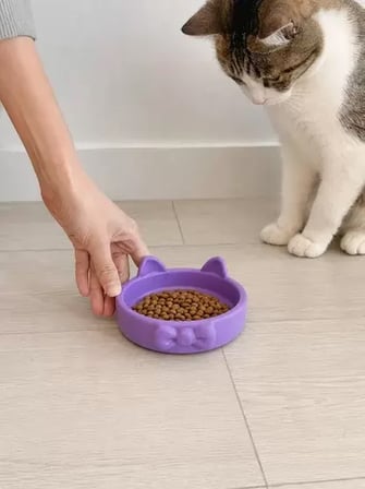 Papyon Model Beton Mama Su Kabı 16 Cm Çap - Mor
