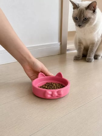 Papyon Model Beton Mama Su Kabı 16 Cm Çap - Pembe