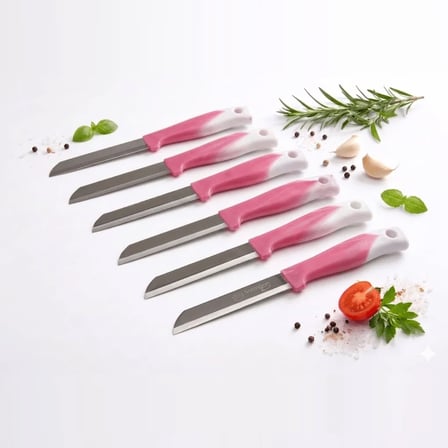 Solingen Meyve Bıçağı 6’li Set