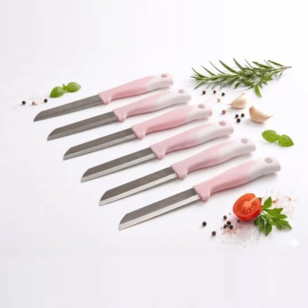 Solingen Meyve Bıçağı 6’li Set