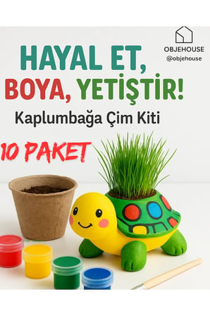 10 Paket Kaplumbağa obje Çim Kiti 6LI AKRİLİK BOYA FIRÇA TOHUM TOPRAK