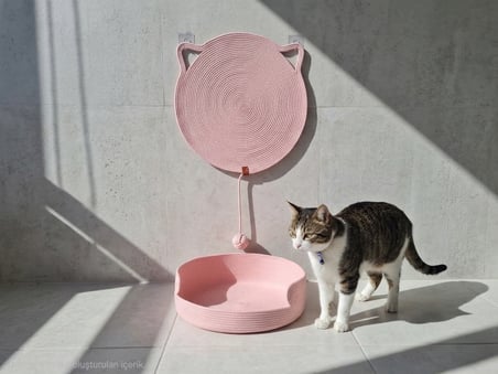 Kedi Yatağı