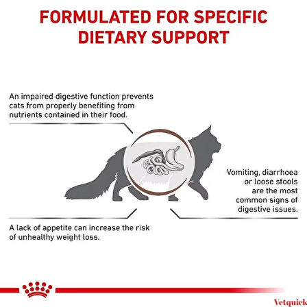 Royal canin Gastrointestinal Kedi Maması 2 Kg