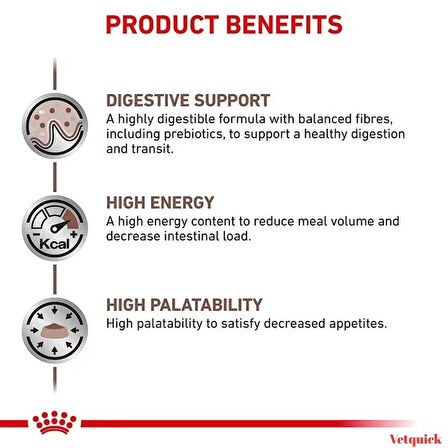 Royal canin Gastrointestinal Kedi Maması 2 Kg