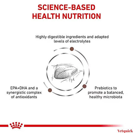Royal canin Gastrointestinal Kedi Maması 2 Kg