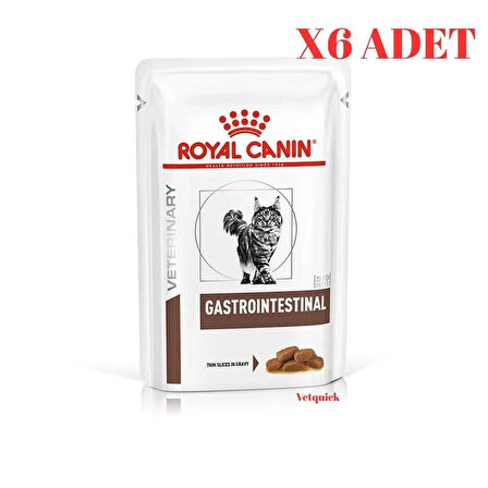 Royal Canin Gastrointestinal Kedi Pouch