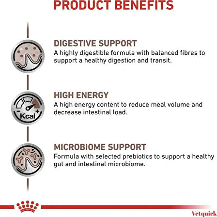 Royal Canin Gastrointestinal Kedi Pouch