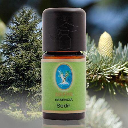 Nuka Sedir Yağı - 10 ml (Organik)