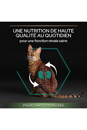 ProPlan Pro Plan Sterilised Salmon Somon Kısırlaştırılmış Cat Food Adult Kedi Maması 3KG