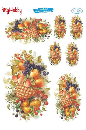 My Hobby Sulu Transfer ST024