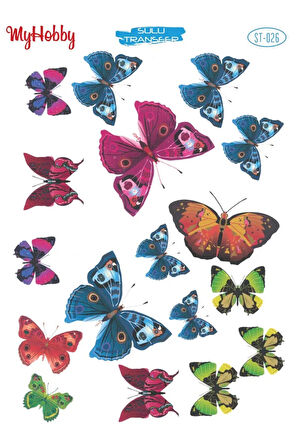 My Hobby Sulu Transfer ST026