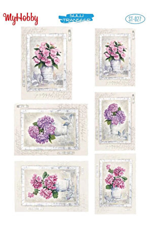 My Hobby Sulu Transfer ST027