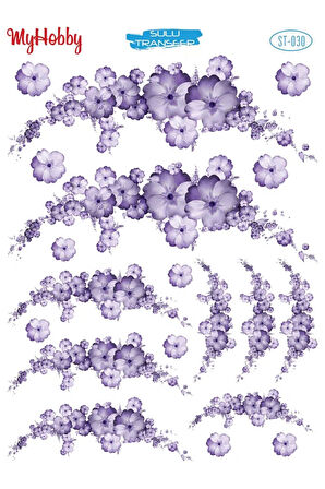 My Hobby Sulu Transfer ST030