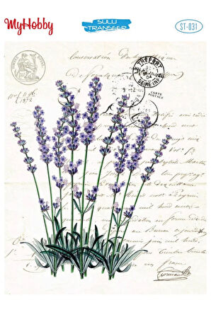 My Hobby Sulu Transfer ST031