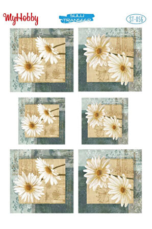 My Hobby Sulu Transfer ST056