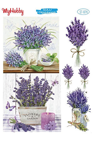 My Hobby Sulu Transfer ST074