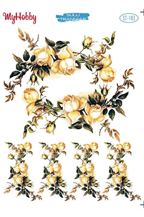 My Hobby Sulu Transfer ST183