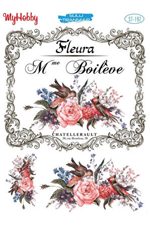 My Hobby Sulu Transfer ST197