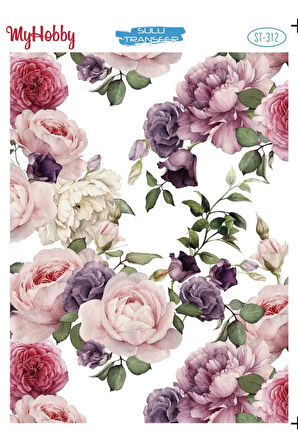 My Hobby Sulu Transfer ST312