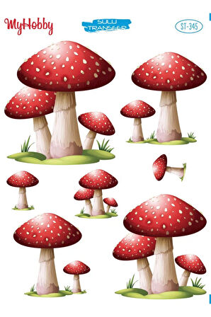 My Hobby Sulu Transfer ST345