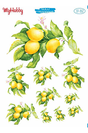 My Hobby Sulu Transfer ST352