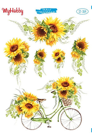 My Hobby Sulu Transfer ST364