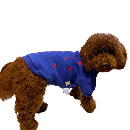 Gedyco Stars Küçük Irk Köpek Sweatshirtü Saks