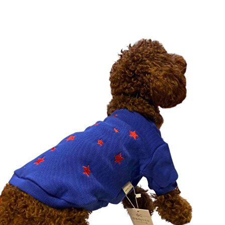 Gedyco Stars Küçük Irk Köpek Sweatshirtü Saks