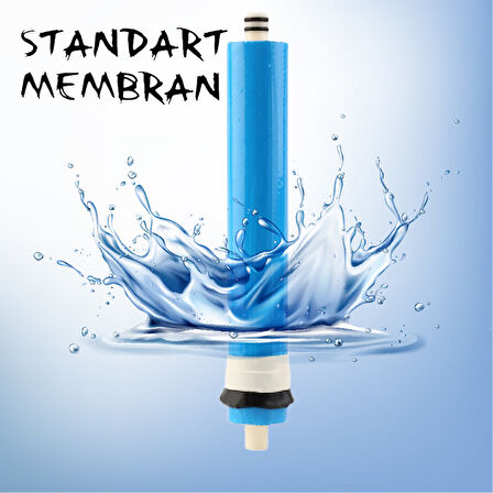 Lotto Filters Su Arıtma Cihazı Membran Filtre, 75 Gpd,1812