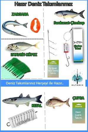 Deniz Ve Tatlı Su Olta Takımı Profosyonel Tam Takım