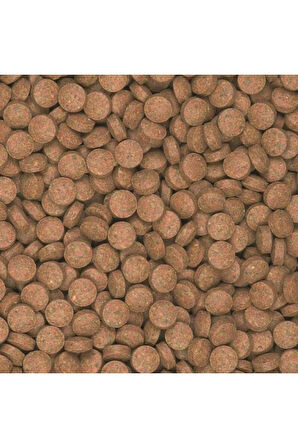 100 Gram Supervit B Tablets - Tablet Balık Yemi