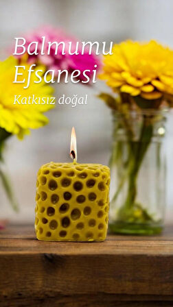 Troya Sünger Balmumu