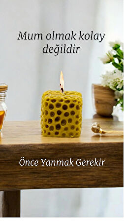 Troya Sünger Balmumu