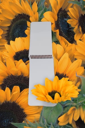 10x19 Cm 80 Yaprak Defter Çizgisiz Üstten Açılır Karton Kapak Not Defteri 60 Gr Beyaz Kağıt