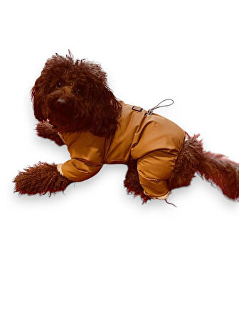 Gedyco Su Geçirmez içi Peluşlu Tarçın Küçük Irk Köpek Tulum Yağmurluk