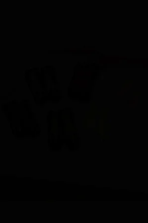 6'lı Kadın Tavuk Bacağı Desenli Kısa Patik Bilek Çorap