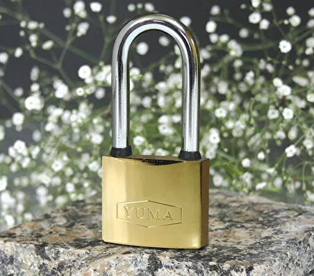 Yuma Sarı Kaplama Döküm Uzun Asma Kilit 50mm