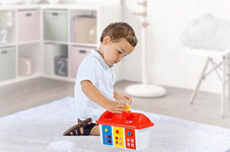 Dolu Kilitli Mutlu Bultak Ev