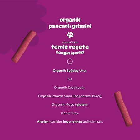 Humm Organik Vegan Pancarlı Grissini 55 Gr