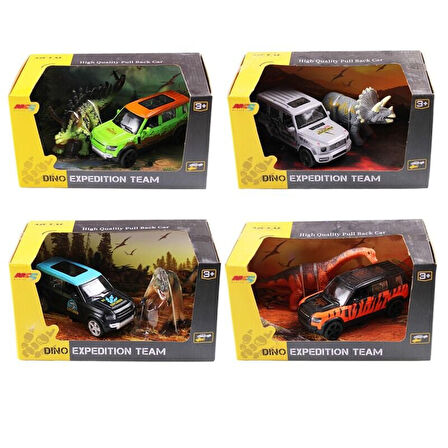 KZL-6843-2D ÇEKBIRAK ARABA KUTULU DÖNAZORLU 72