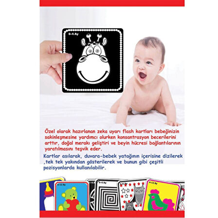 1369 F.CARDS BEBEĞİMİN İLK ZEKA KARTLARI