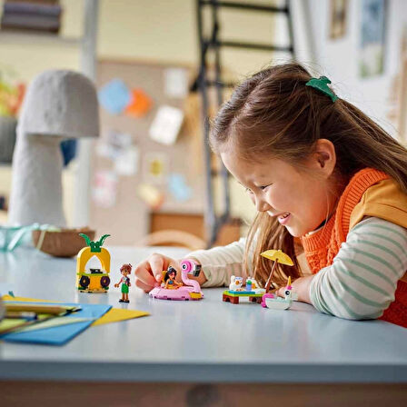 Friends Tek Boynuzlu At ve Flamingo Havuz Partisi 42658