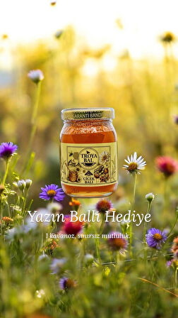 TroyaÇiçek Balı 250 g