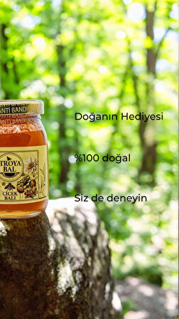 TroyaÇiçek Balı 250 g